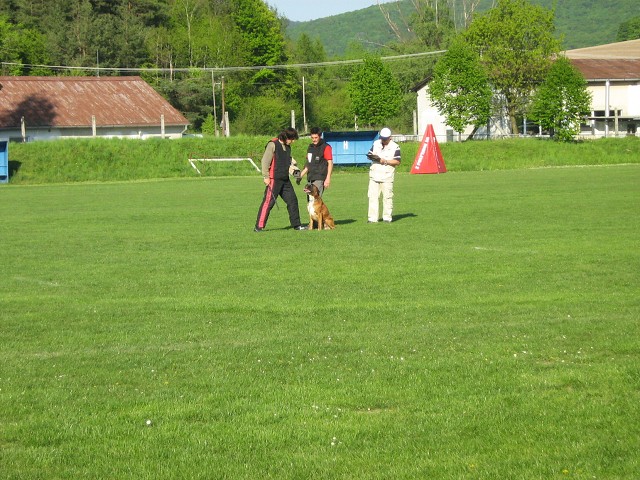 www.atibox.net * www.euroboxer.eu * www.boxergenealogia.eu